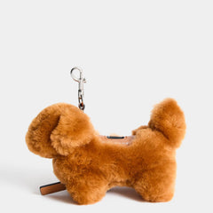 Apricot